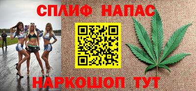 амф Тула