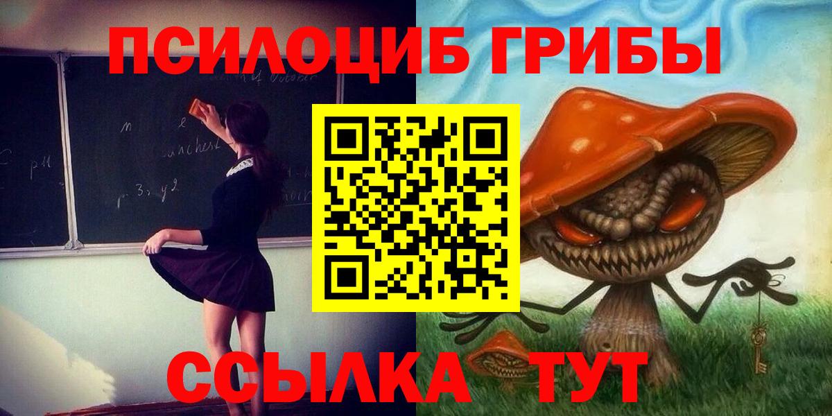 Павлово  Псилоцибиновые грибы прущие грибы  Галлюциногенные грибы GOLDEN TEACHER  Вход с VPN 
