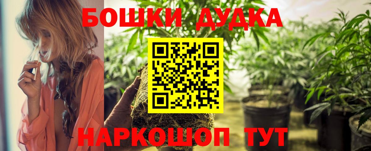 Бошки марихуана AK-47  Бошки марихуана LSD WEED  Павлово  МАРИХУАНА Amnesia  Конопля OG Kush 